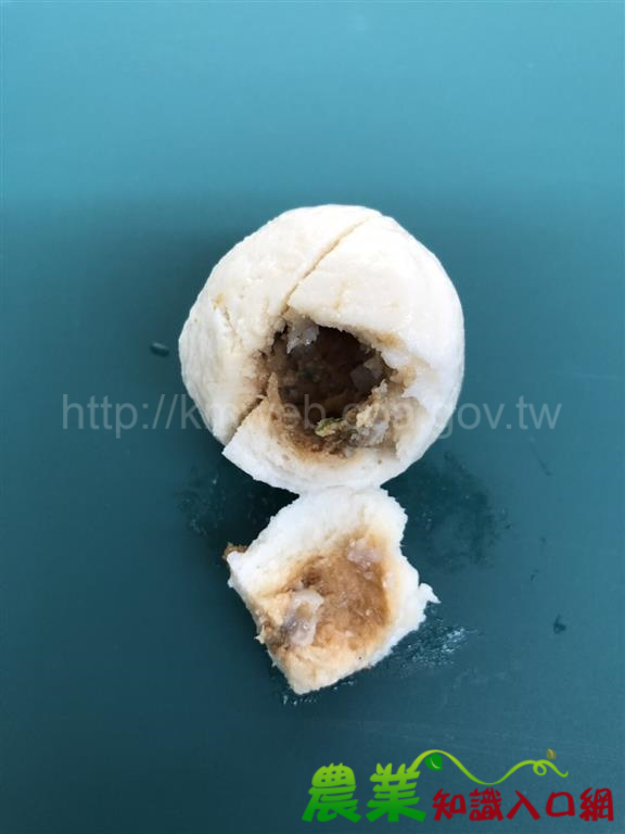 持續於邊境進行監測， 中國大陸豬肉製品檢出第34例非洲豬瘟病毒基因