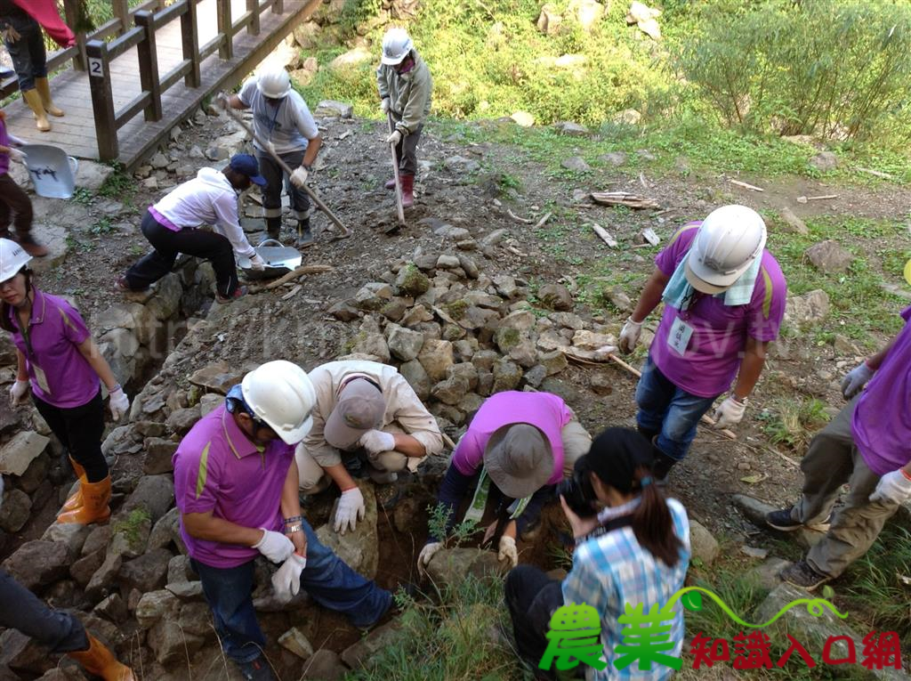 特富野古道工作假期把步道變得更完美