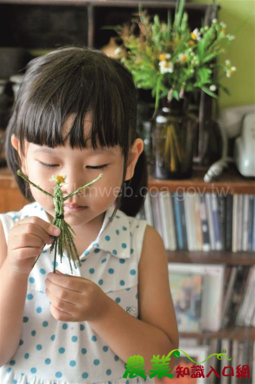 野草花花人，我的自然好朋友！