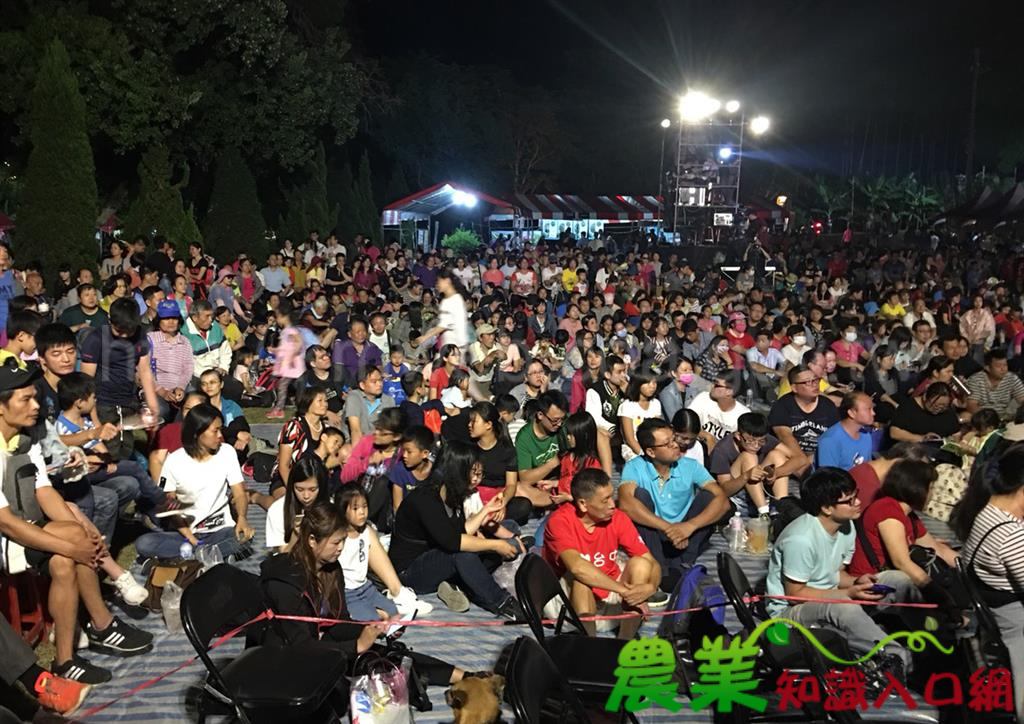 龍騰太平步道健行趣 體驗老樟樹及楓香林美景