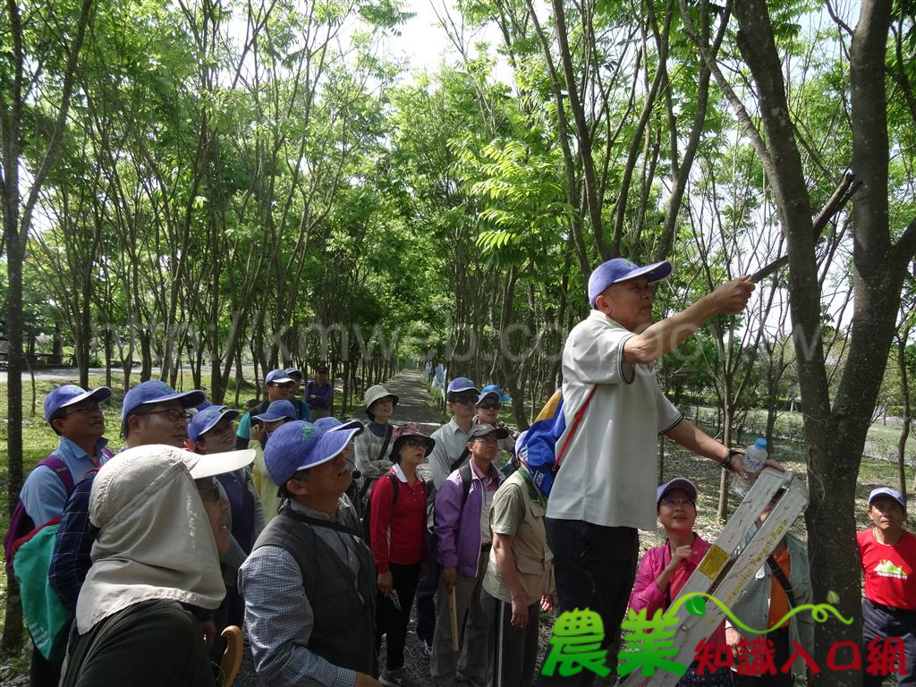 森林與永續城市展成績 林務局再現台灣原生綠