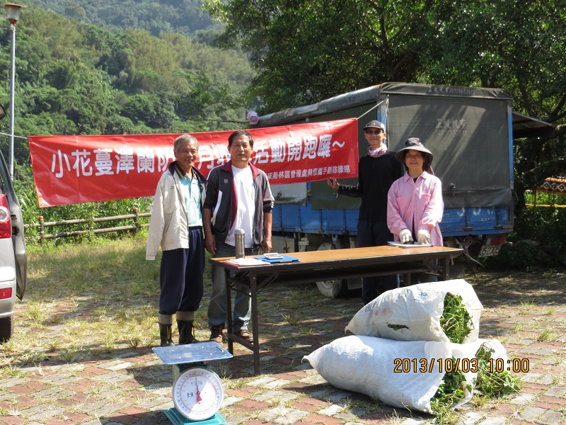 「小花蔓澤蘭」收購 一公斤5元 東勢、新社、和平區 大家一起來