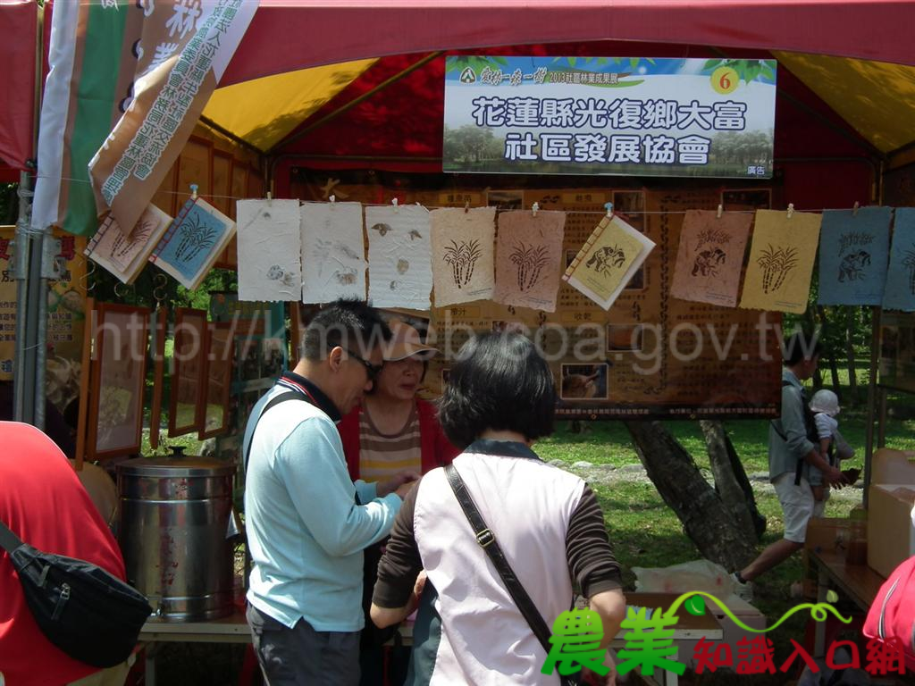 「原味花蓮─社區營造x社區林業」聯合成果展