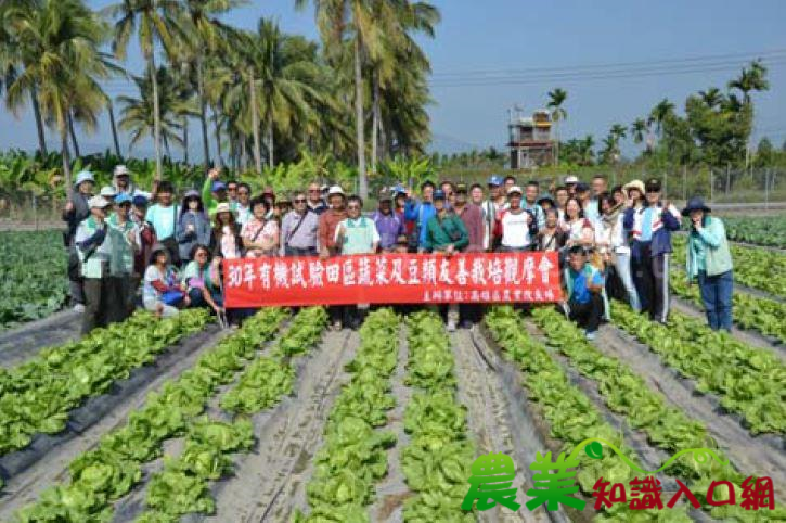 走過30 年，高雄場辦理有機試驗田蔬菜及豆類友善栽培觀摩會