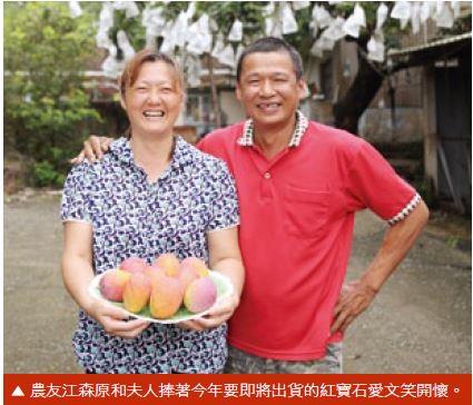 天時地利還要人和 植物醫生江森原 用心滋養夏天紅寶石