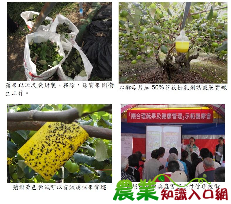 作物病蟲害防治 噴農藥不是唯一的選擇