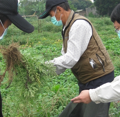 剷除毒銀膠，全民動起來