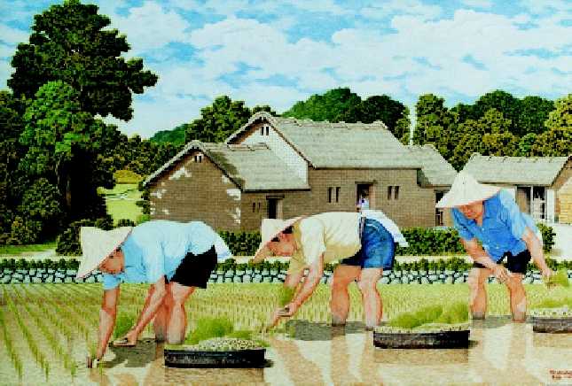 鄉間小路-稻農之美