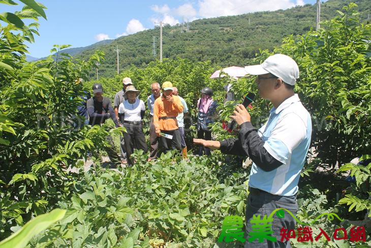 種植綠肥,增進地力 臺東場舉辦「八八風災復耕區增進土壤地力觀摩暨與民有約座談會」