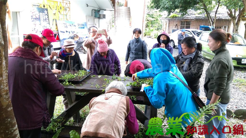 推廣原鄉特色作物　花蓮農改場設置原住民族農產業主題館與保種圃