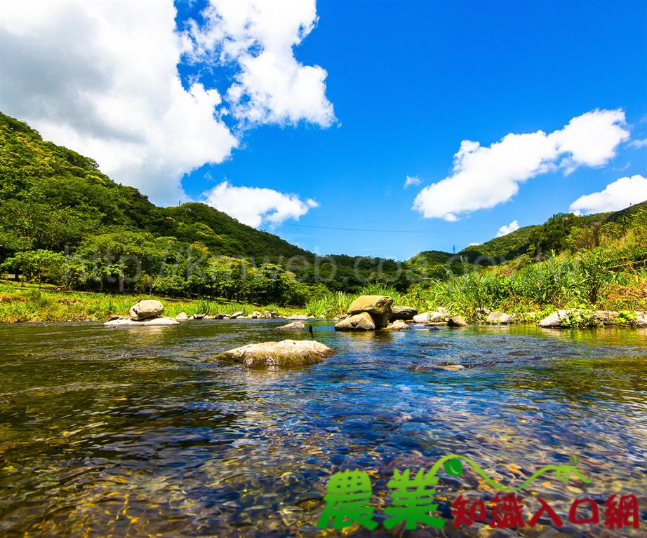 夏日炎炎，雙流自然教育中心揪您一起鬥陣下水趣！