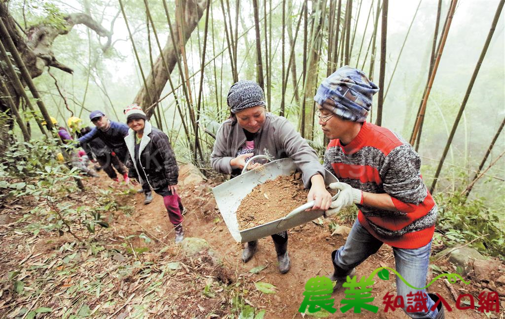 千里步道協會｜實現步道自主的價值