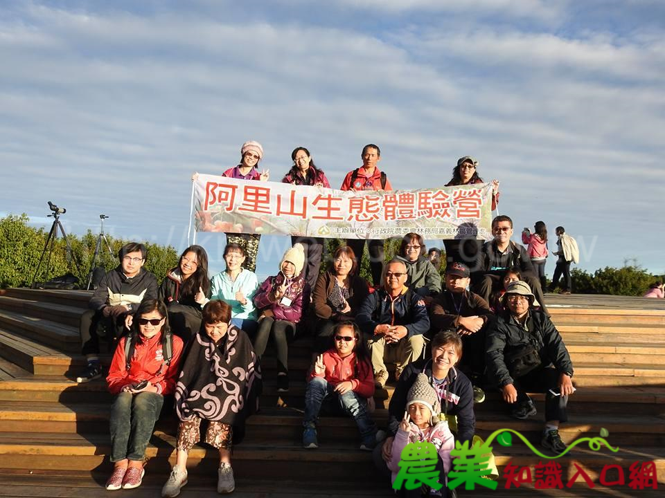 獵戶金箭又鳴鏑 阿里山上見流星