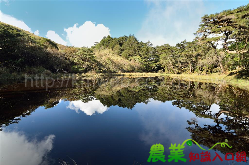 森之巡~臺東林管處深山特遣紀實影片，揭露中央山脈森林秘境