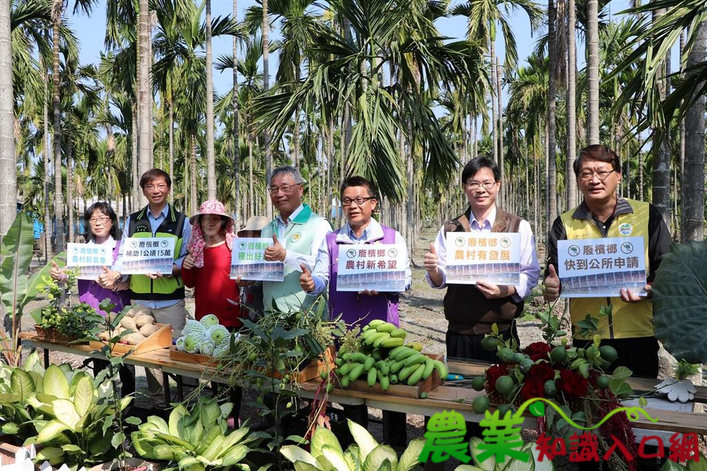 把握檳榔廢園及轉作最後一年申辦機會 有意願農民請速提出申請