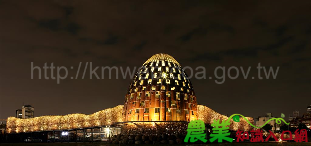 嘉義璀璨小巨蛋 新春重見光芒