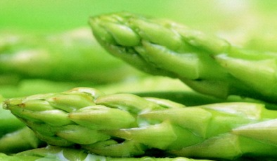 鄉間小路-蘆筍 高貴不貴