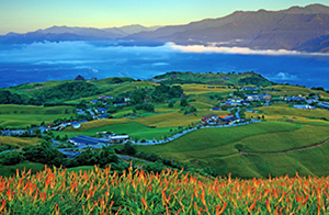 神轎之鄉-花蓮富里竹田村