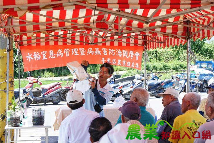 排水曬田通氣好，青秧健苗免煩惱，臺東場舉辦「水稻窒息病管理暨病蟲害防治觀摩會」