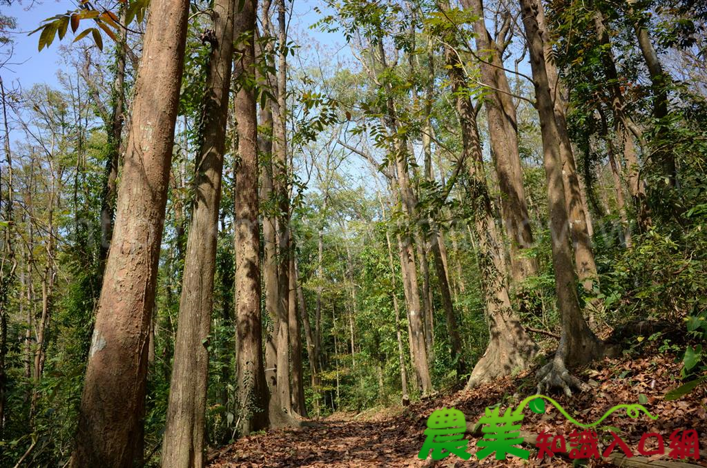 快樂登山，就要做好體能確認