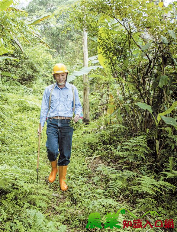 台電高山保線員｜比巨木還不可見的任務