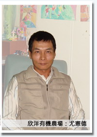 落山風＋陽光＋有機農法＝好洋蔥