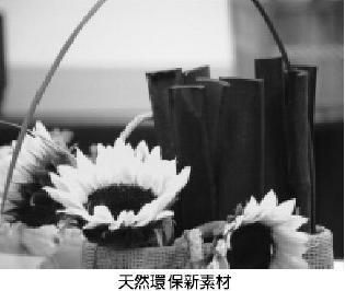 豐年--天然環保新素材-竹炭