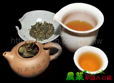 名揚四海凍頂茶鹿谷茶鄉