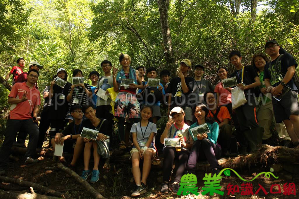 宜蘭在地小學生及部落合作打造太平山「櫻木花道」