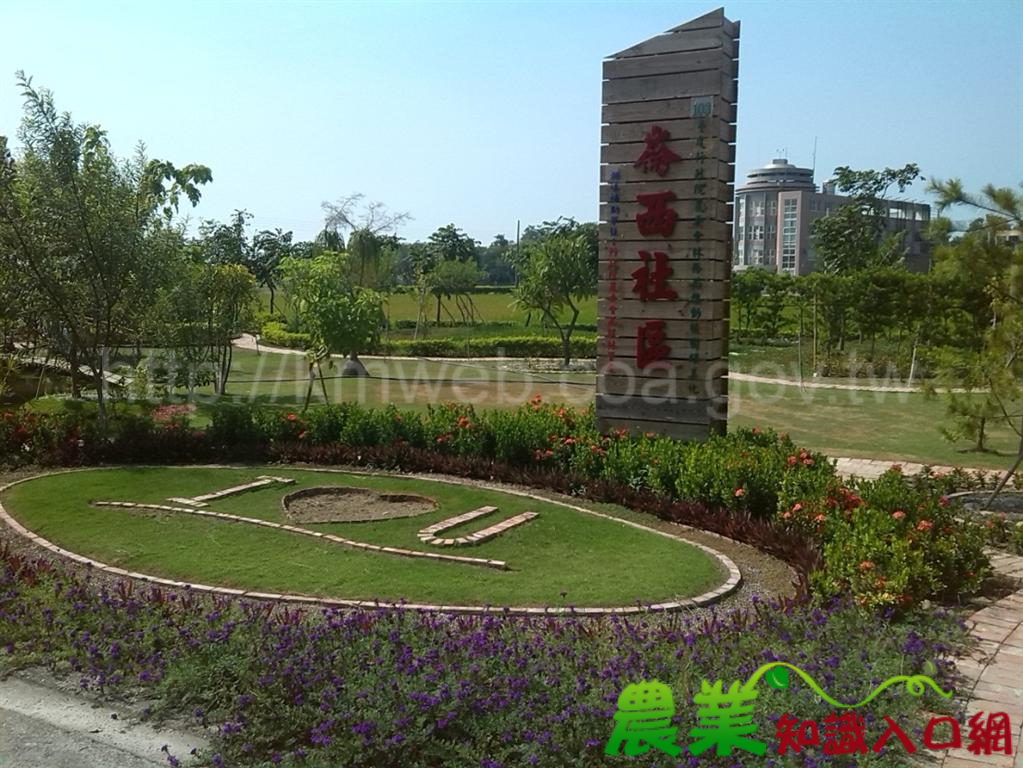 社區荒地和菜圃 變身綠地和公園