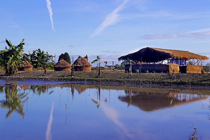 三星鄉人和社區農村再生計畫「萬綠蔥中一點紅」