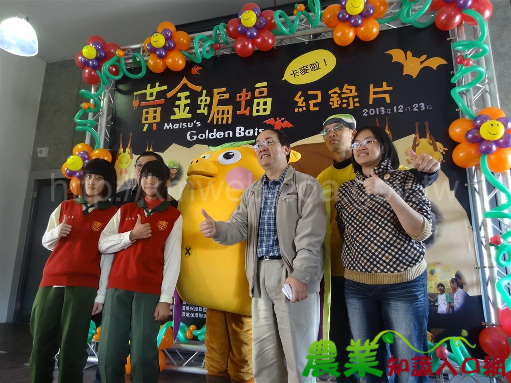 超萌的金黃鼠耳蝠 和你一起迎接幸福