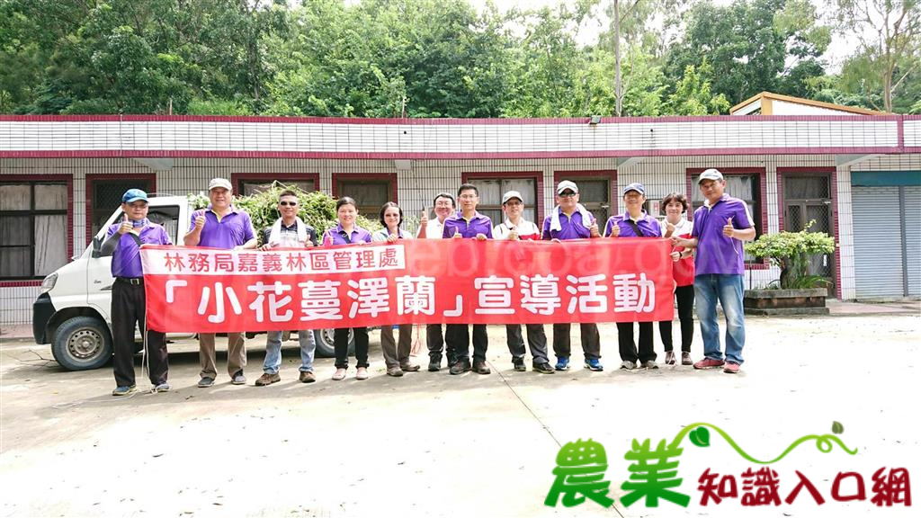 登山健身兼除綠癌 鎮南宮後山步道除蔓樂