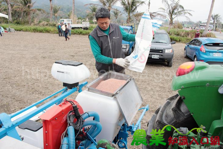 硬質玉米機械播種-省時又省工