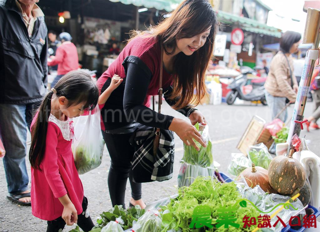 印尼 × 陳妍蓁 ｜印尼料理中的文化密碼