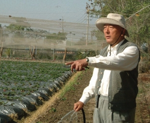 田園將蕪胡不歸！黃大洲揮別宦海，當個快樂農夫