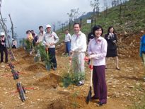 捍衛山林保護水土  林管處與獅子會造林2公頃