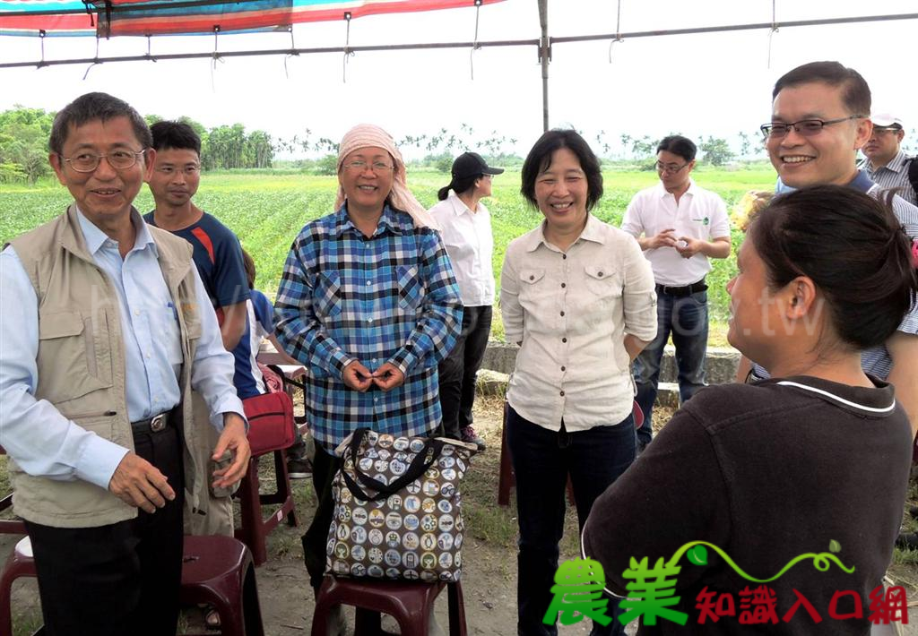 國產有機大豆 花蓮場推廣有成