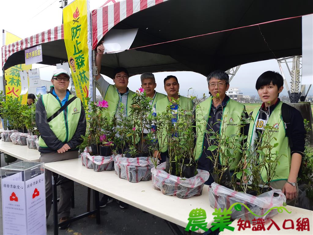 延伸島嶼生命綠色網絡，從居家環境綠化做起