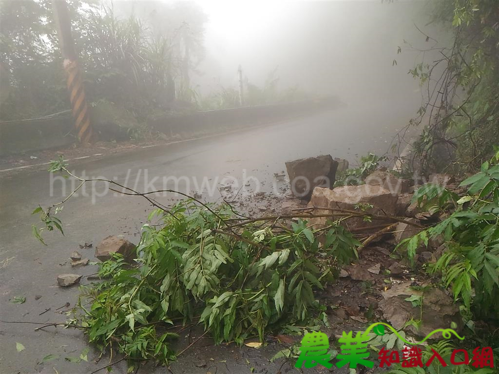 近日因梅雨連續降雨影響，山區多落石及樹木倒塌，前往大雪山林道請小心駕駛