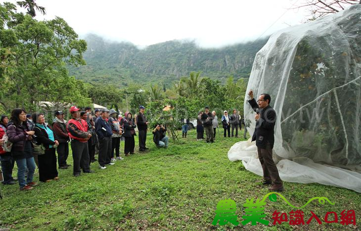 果樹猴害防範新密技