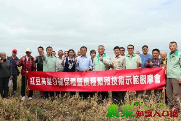 收服臺灣人味蕾的國產紅豆雙姝從一而種，品種愈純種愈好