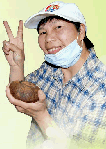 暖心暖身紅棗薑糖