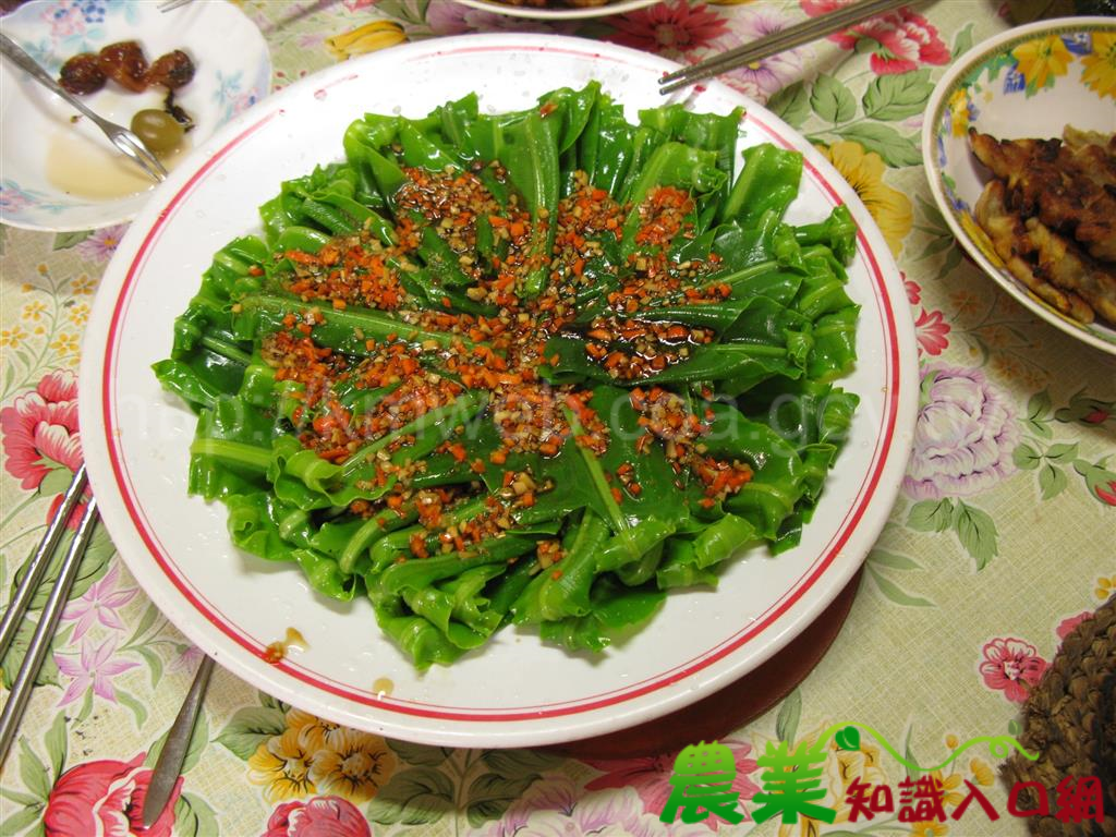 肥美野菜好美食