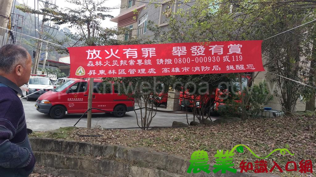 清明節勿成失火節　掃墓多小心