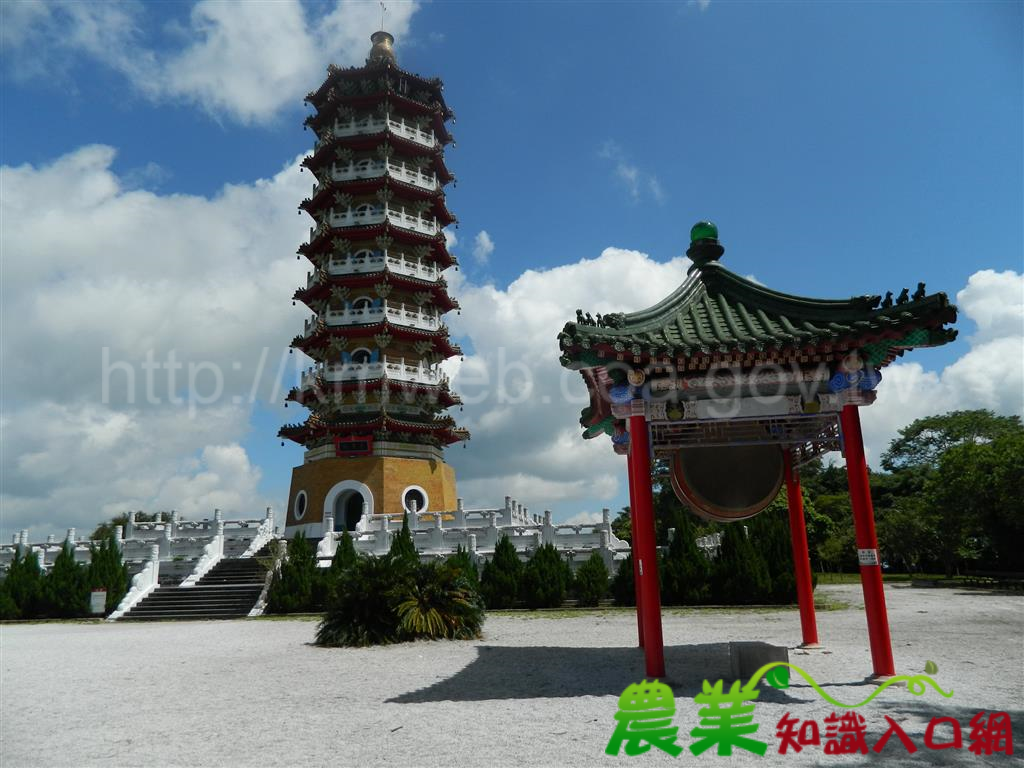 落實管用合一 林管處解除慈恩塔保安林地