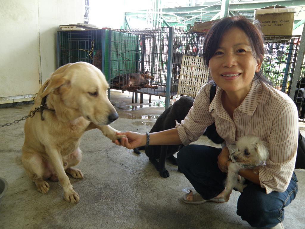 推動結紮‧援救流浪動物─中華民國菩提護生協會