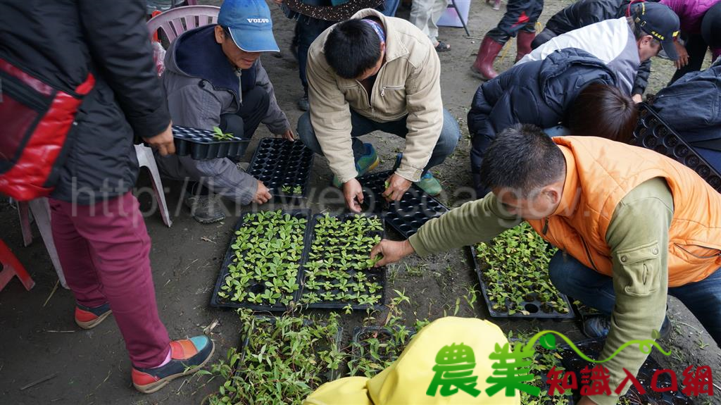 行動教室開設野菜繁殖課程　族人滿載而歸