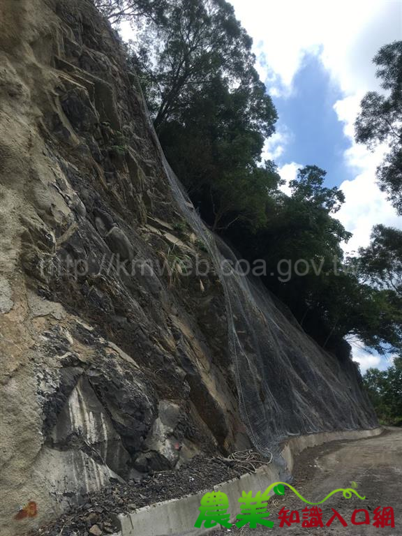 汛期來臨 南投林管處加強林道巡檢民眾請注意通行安全