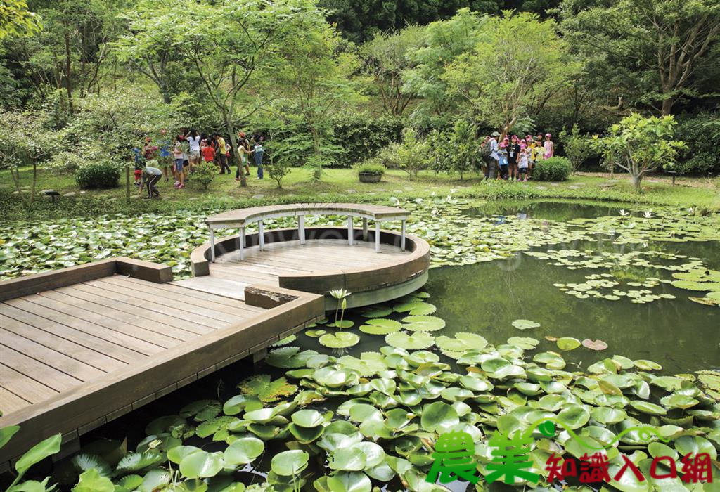 來九穹湖，走進生態大觀園